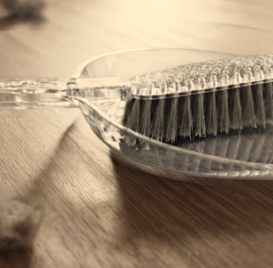 Clear Acrylic Dust Pan & Brush